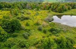 144 Louis Ridge rd, Frankfort, NY 13340