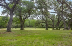 612 Farm To Market Road 1457, Round Top, TX 78954