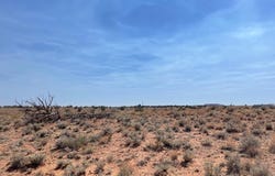 Parcel A HIghway 77, Snowflake, AZ 85937