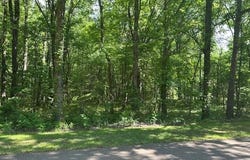 OLD CREEK Rd lot: 4, Memphis, TN 38125