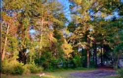 262 E Walnut Trail, Murchison, TX 75778