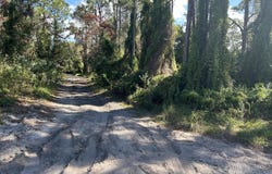 Slash Pine Trail, Fort Pierce, FL 34945