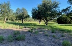 495 Buffalo Creek (Lot 95) Dr, Evant, TX 76525