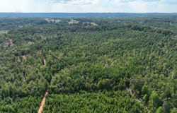 L.V. Road, Wadley, AL 36276