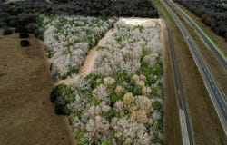 I-45, Teague, TX 75860