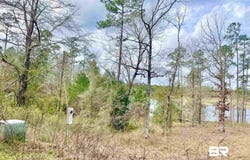 Lake Juniper Road, Brewton, AL 36426