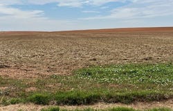 Fm 611 W, Rotan, TX 79546