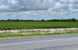 Military Road, Progreso, TX 78579