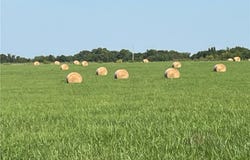 0005 Switzer Road, Louisburg, KS 66053