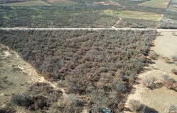 FM 600, Abilene, TX 79601