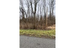 Linden Drive, St. Joseph, MI 49085
