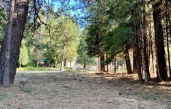 8 Hwy 41, Fish Camp, CA 93623