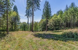 Old Tree Farm Dr, Longview, WA 98632