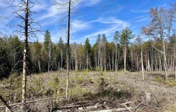 Vermont Route 5A, Sutton, VT 05867