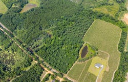 Jo Dan Road, Register, GA 30452