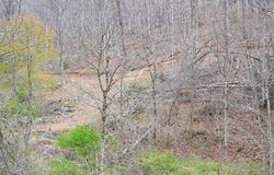 Snake Run Rd, Dawson, WV 24910