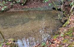 Russell Gap Rd, Taylorsville, NC 28681