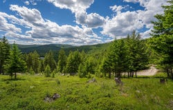 2342 Sirius View, Kalispell, MT 59901