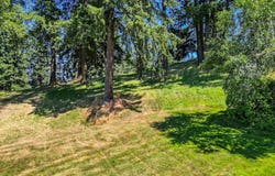 McLean Blvd, Eugene, OR 97401