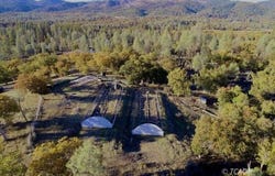 297 Frog Pond Ln, Hayfork, CA 96041