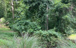 Stonehenge Road, Charleston, WV 25314