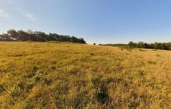 Foxden Drive Lot 3, Gainesville, MO 65655