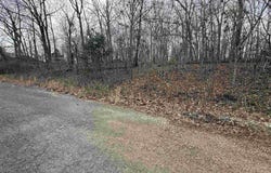 Will Scarlet, Hardy, AR 72542