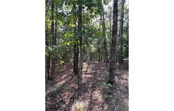 Madison 6021, Elkins, AR 72727