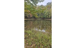 CR 100, Walnut, MS 38683