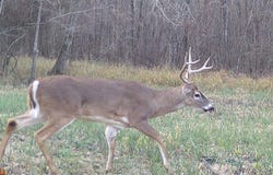 CR 3302, DeKalb, TX 75559