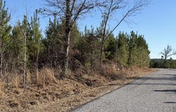Delancey Road, Braxton, MS 39044