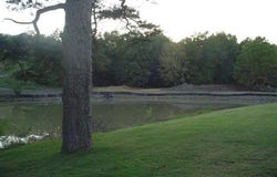 166 Thornton Ferry Road, Hot Springs, AR 71913