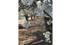 Addor Road, Aberdeen, NC 28315