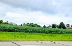398 E Pike Street, Osakis, MN 56360