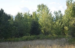 RT 58, Lowell, VT 05847