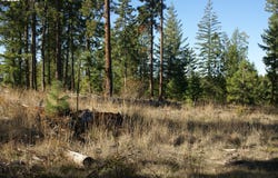 8 Ginger Way, Goldendale, WA 98620