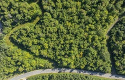 Pinnacle Drive, Newry, ME 04261
