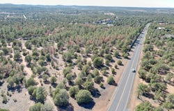 Parcel 309-27-014E, Show Low, AZ 85901