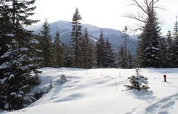 19a Daisy Gulch Rd, Mullan, ID 83846