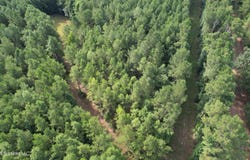 Bethel Road, Liberty, MS 39645
