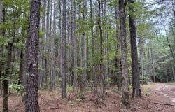 16-15-17 SecTwpRng, Louann, AR 71751