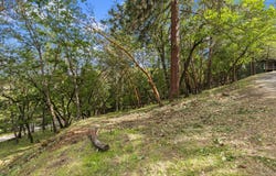 425 Coachman Drive, Jacksonville, OR 97530