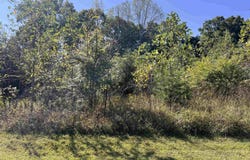 Lakeview Drive, Celestine, IN 47521