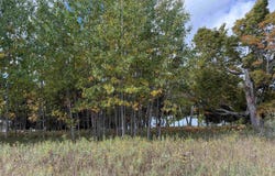 7777 Mulberry Lane, Charlevoix, MI 49720