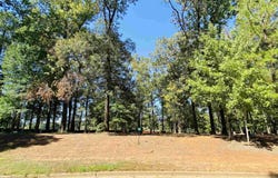 Easy St lot: 5, Frankston, TX 75763