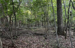 Bay View Rd lot: 332, Lynch Station, VA 24571