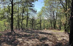 TBD Tract 8 Chaparral Lane, Mena, AR 71953