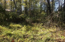 8305 TELEGRAPH, LORTON, VA 22079