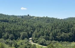21 Pit Row, Laurel Springs, NC 28644