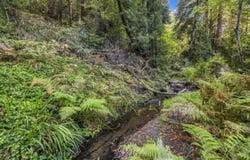 01 Pringle, SOQUEL, CA 95073